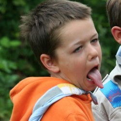 IMG 1796  Medium - Scouts en Gidsen Zaventem 